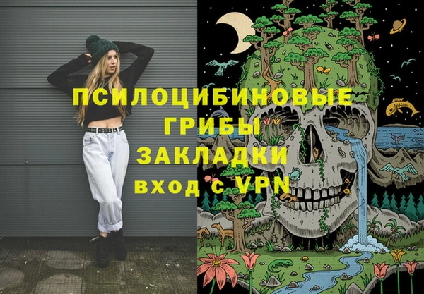 герыч Арсеньев