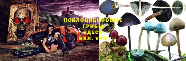 герыч Арсеньев